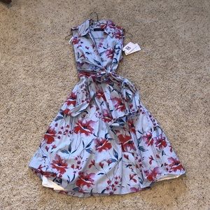 Floral Print  Fit and Flare Dress